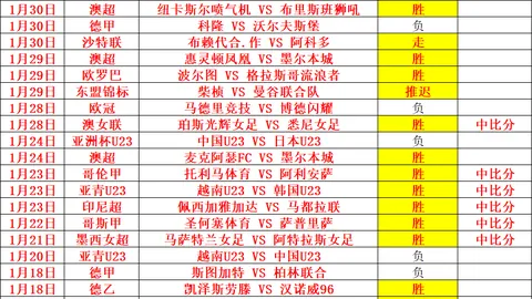 2025年1月21日印度羽毛球公开赛混双金牌：蒋振邦与魏雅欣携手夺冠